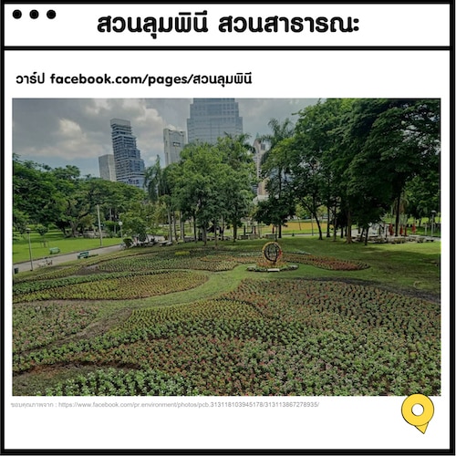 My Image 3