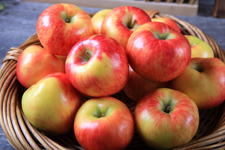 Fresh organic honey crisp apples