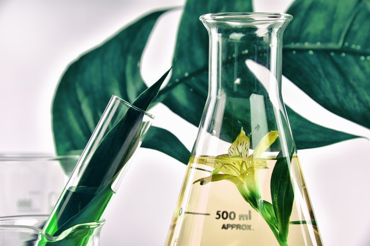 Natural organic extraction and green herbal leaves, Flower aroma essence solution in laboratory.