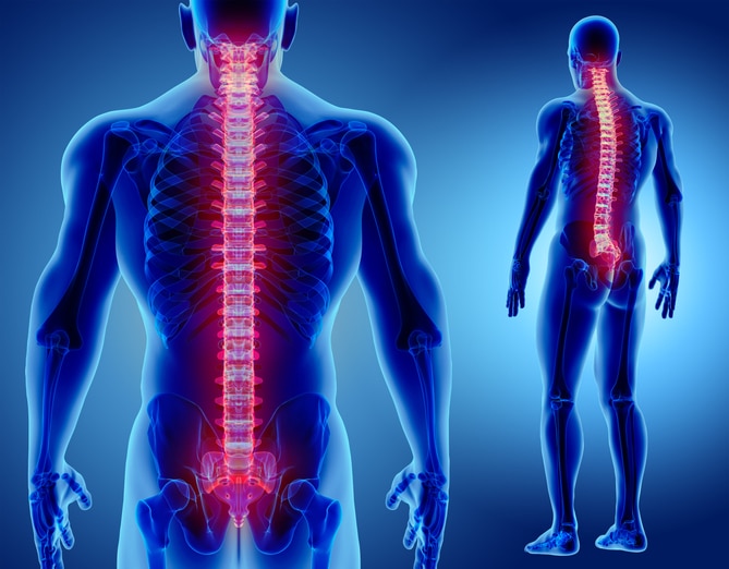 Bone structure 3d illustration, normal and with osteoporosis