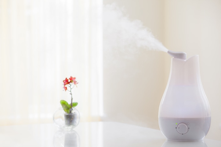 Humidifier spreading steam into the living room