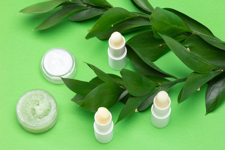 Natural cosmetics for lip skin care. Lip balms, cream, gentle honey scrub with green leaves. Close-up, selective focus