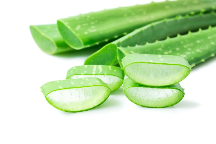 Aloe vera with sliced on white background for beauty and healthy product concept