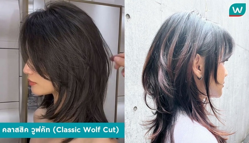 คลาสสิค วูฟคัท (Classic Wolf Cut)