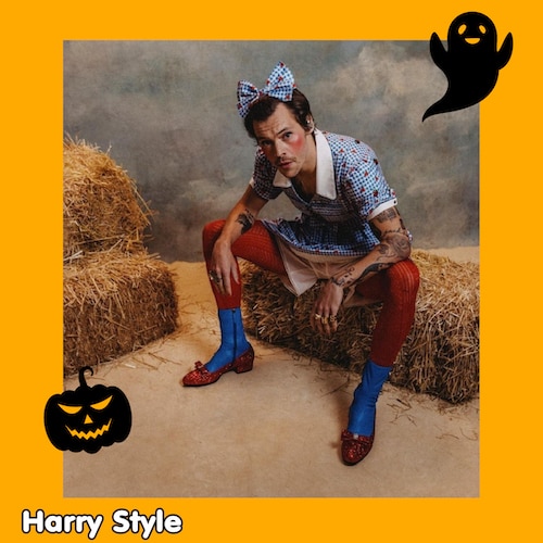 Harry Style ชุดวันฮาโลวีนสุดคิวท์ของแฮรี่ สไตล์ ในลุค Dorothy From The Wizard of Oz