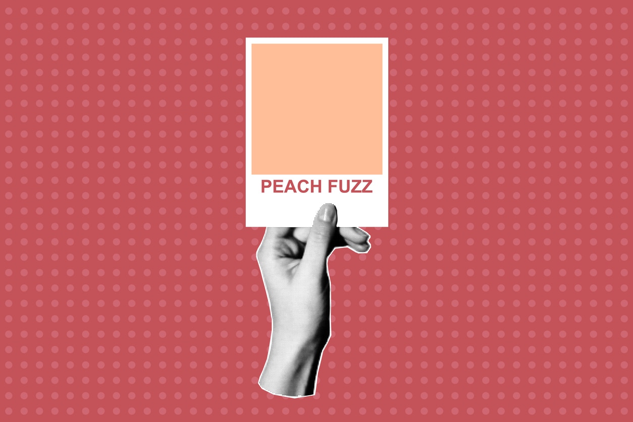 สี Pantone แห่งปี 2024 : Peach Fuzz