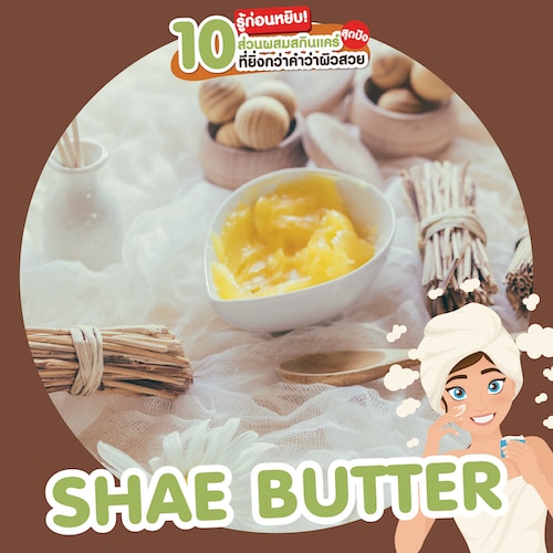 ส่วนผสมสกินแคร์ สารบำรุงผิว Shae butter