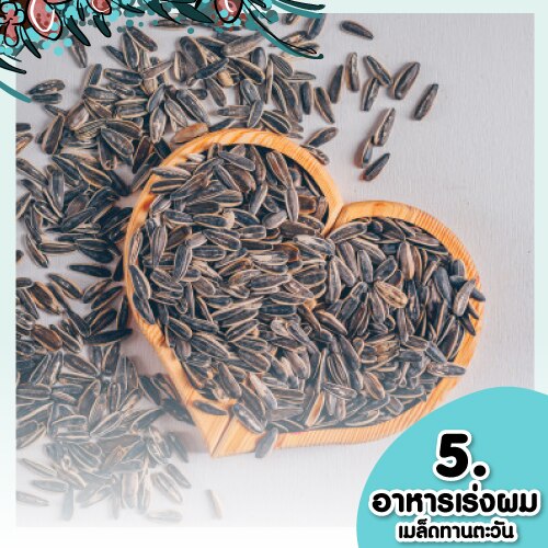 เร่งผมยาว - อาหารเร่งผมยาว