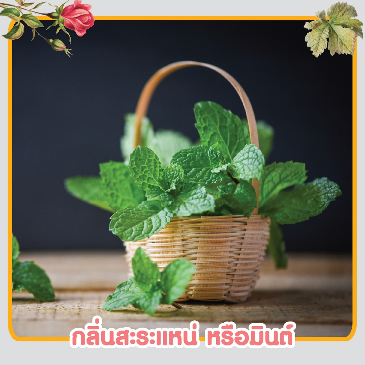 กลิ่นบำบัดความเครียดจากใบสะระแหน่หรือใบมินต์