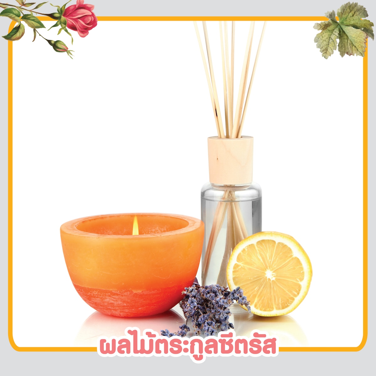 กลิ่นบำบัดความเครียดจากผลไม้ตระกูลซีตรัส