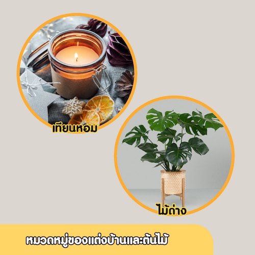 ไอเดียของขวัญปีใหม่หมวดหมู่ของแต่งบ้านและต้นไม้ 