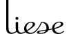 163-84-Liese-Small-Logo.jpg