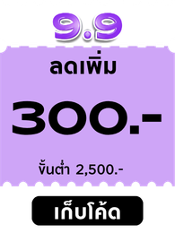 2500-300w37 image