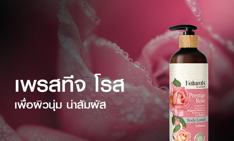 เพรสทีจ โรส จากบัลแกเรีย เพื่อผิวเนียนนุ่ม น่าสัมผัส